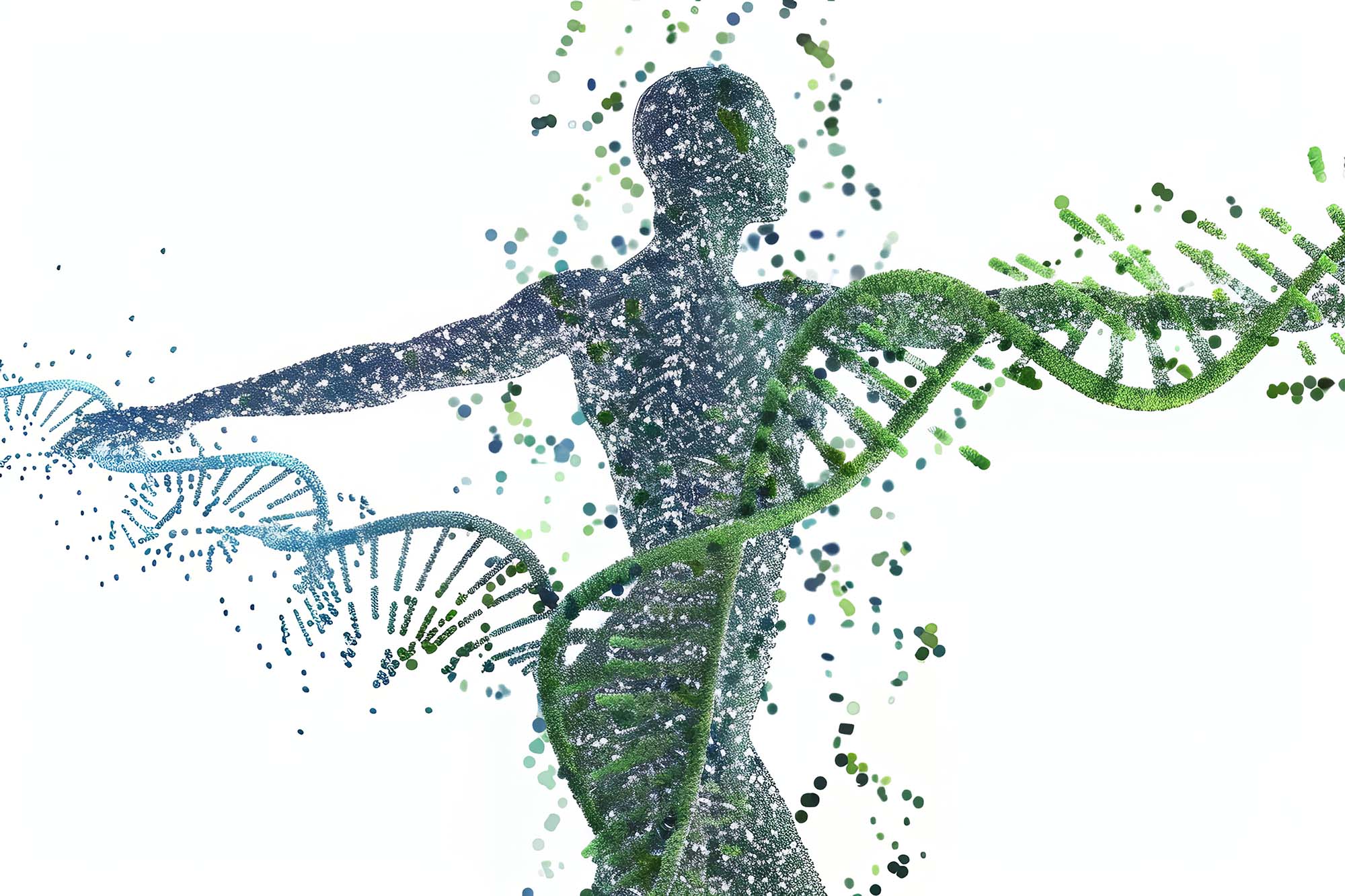 cinque leggi biologiche
