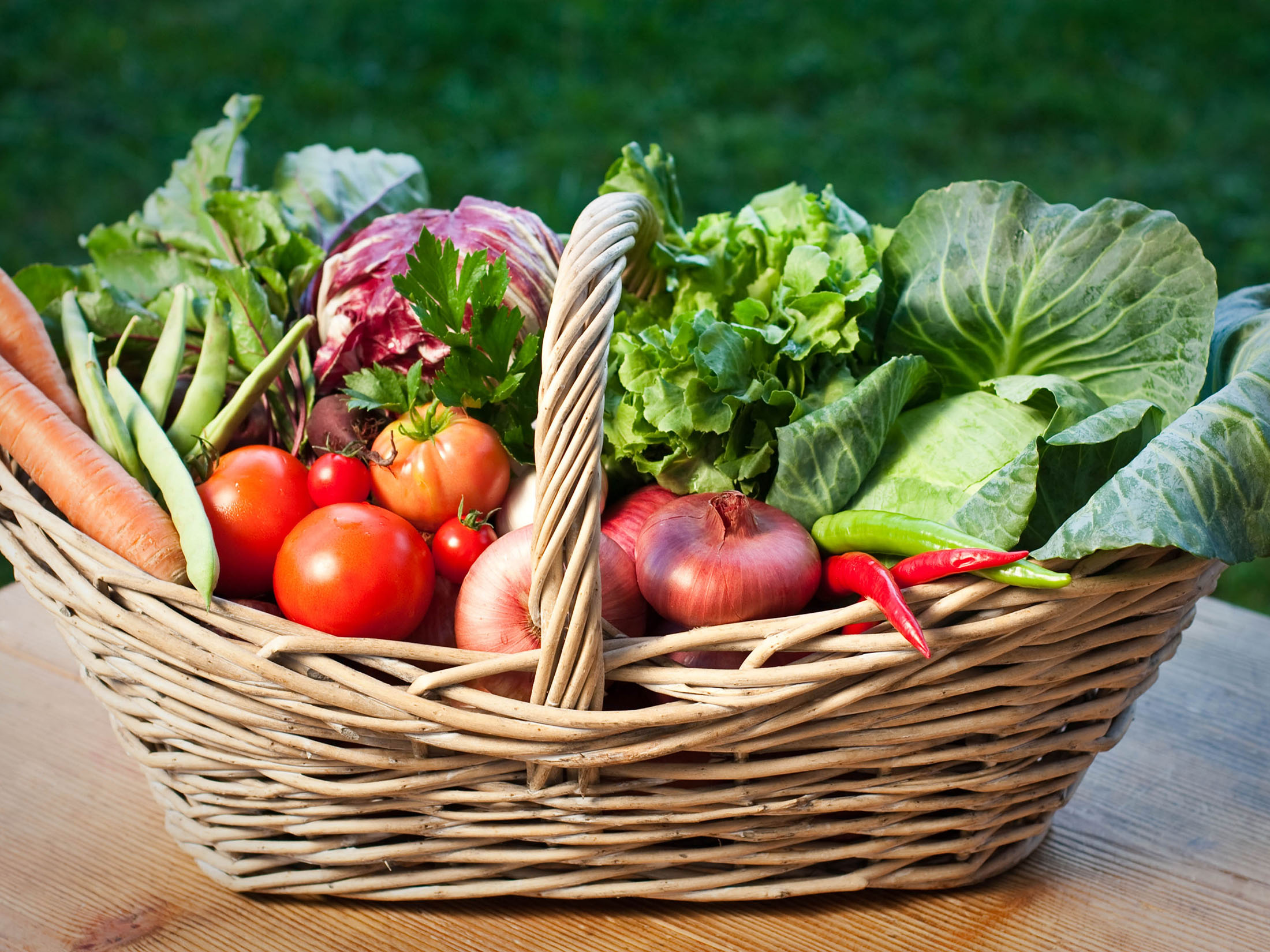 Monica Taricco Naturopata Pino Torinese 14