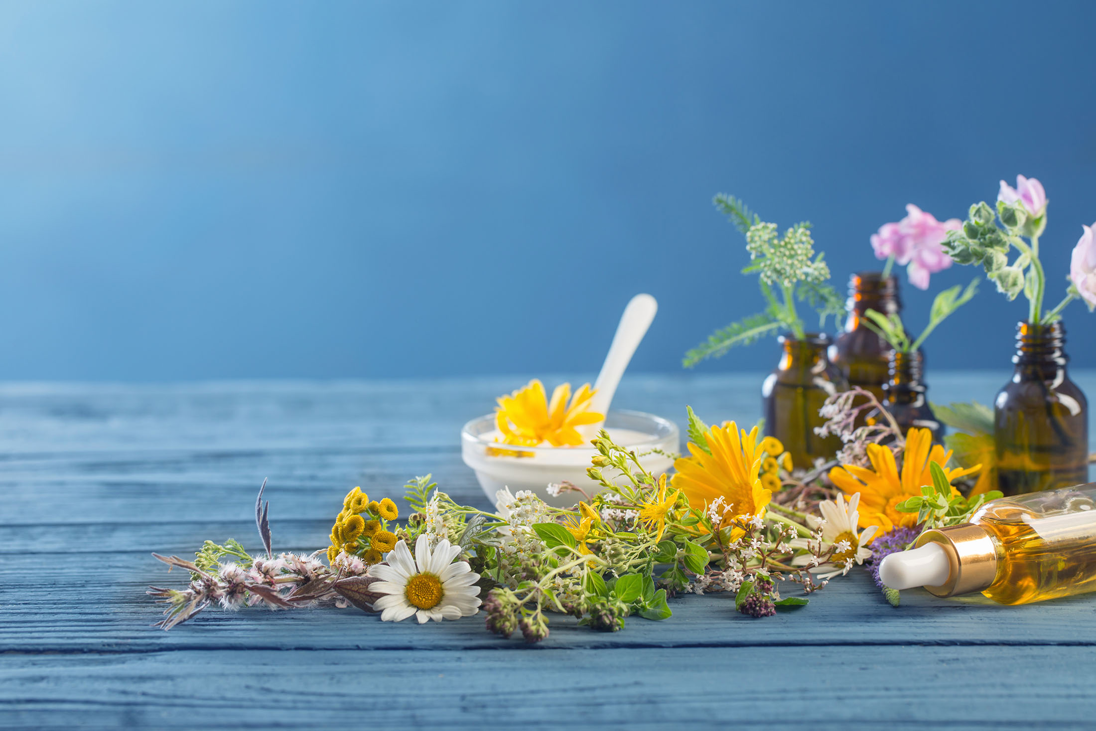 Monica Taricco Naturopata Pino Torinese 18